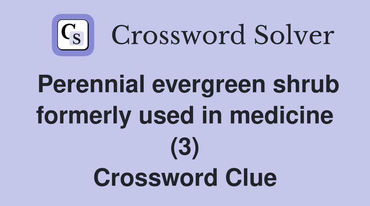 Perennial evergreen shrub formerly used in medicine (3) Crossword